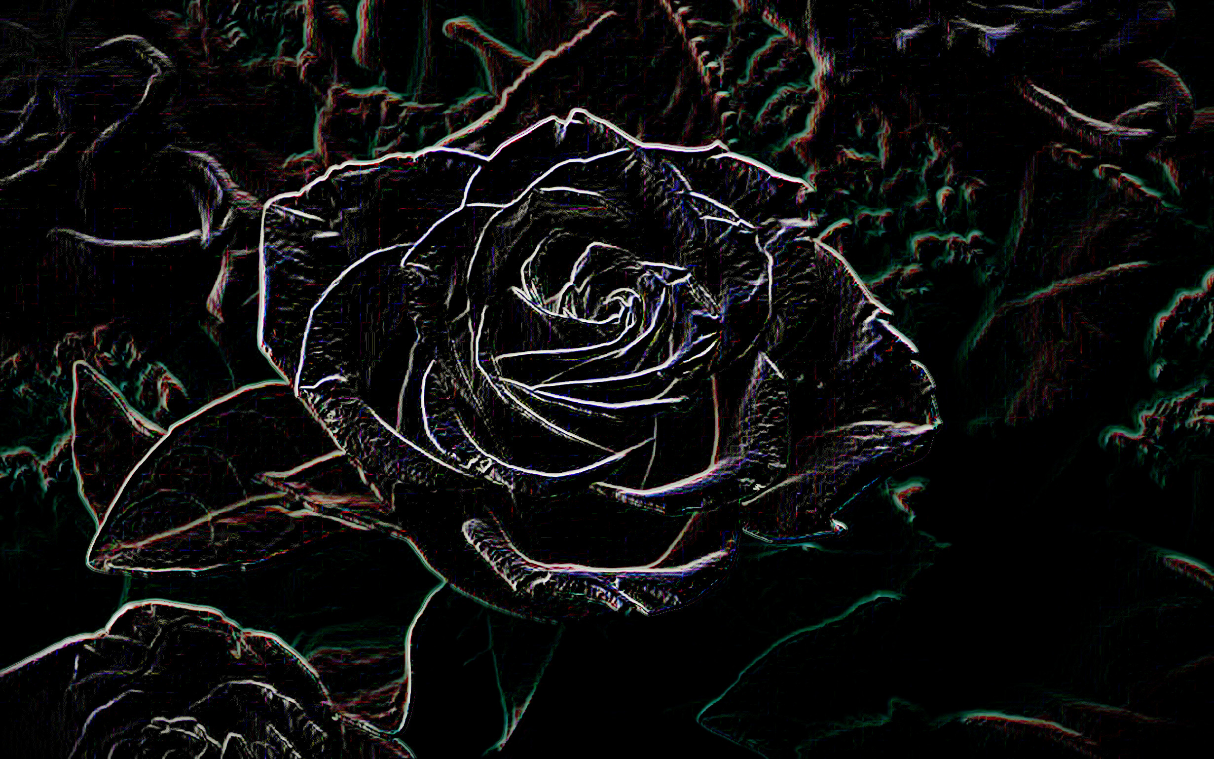 WhiteRose_DN_ColorPencilDrawBlackPaper_2_neon.jpg