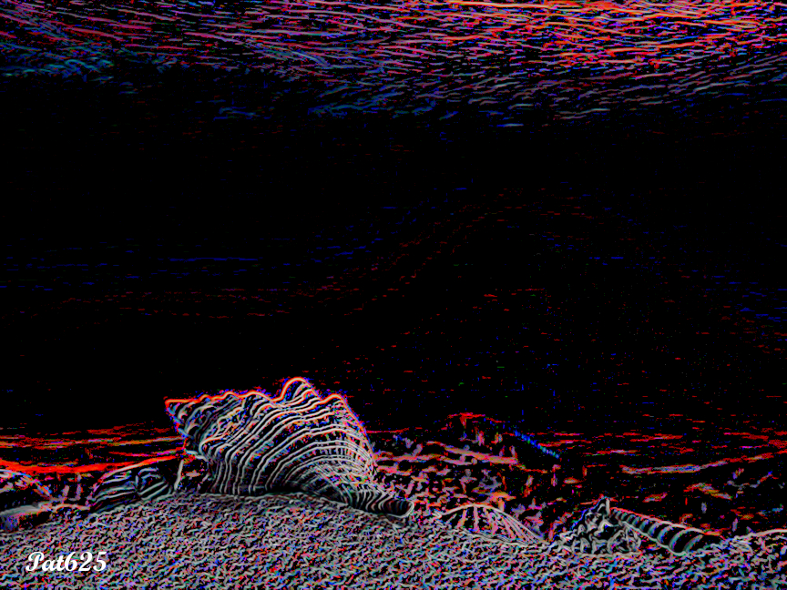 DN_CPDrawonBlack V2.Underwater.jpg