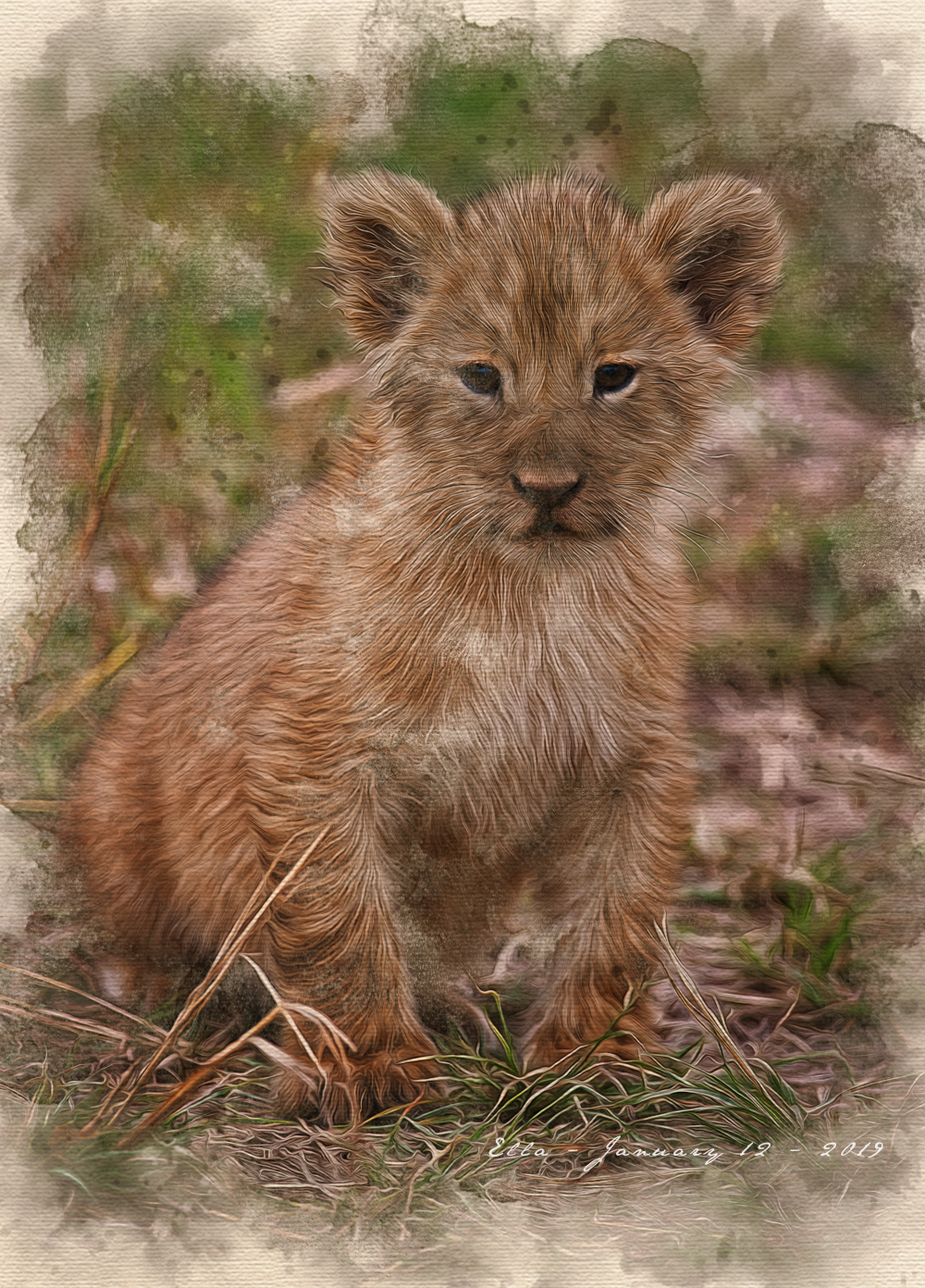 LionCub.DreamSmooth.WaterColorEffect.GC.png