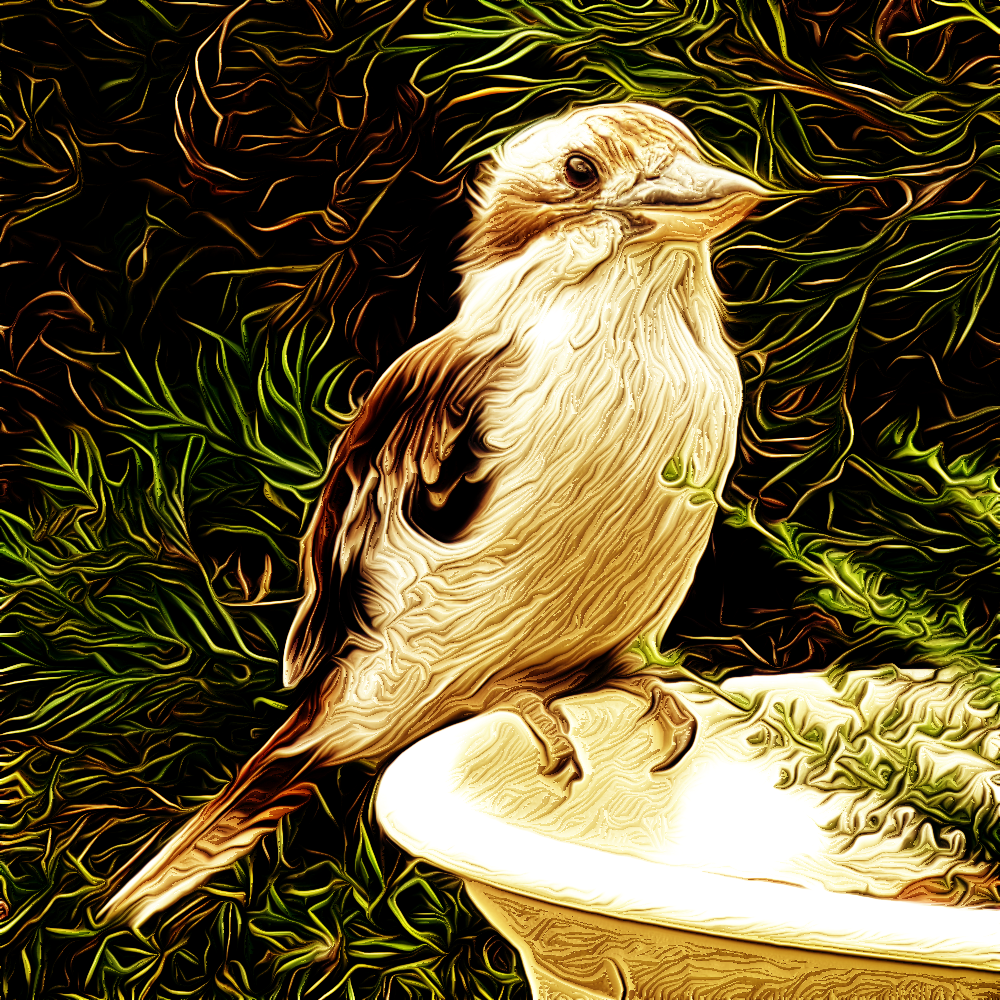 kooka_peter.png