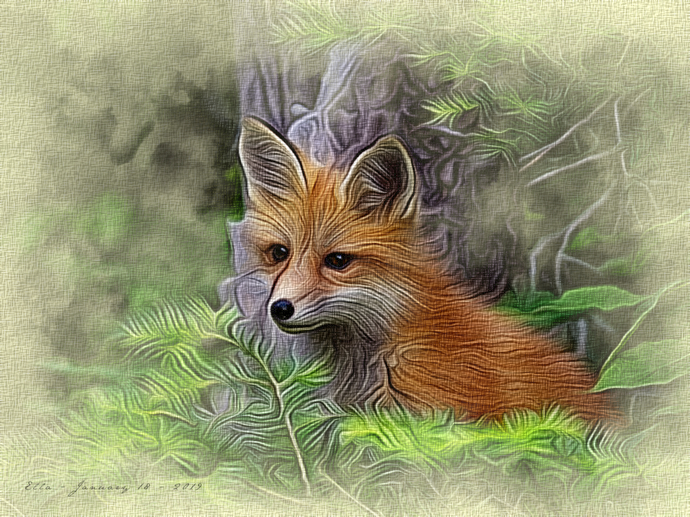 LittleFox.DreamSmooth.jpg