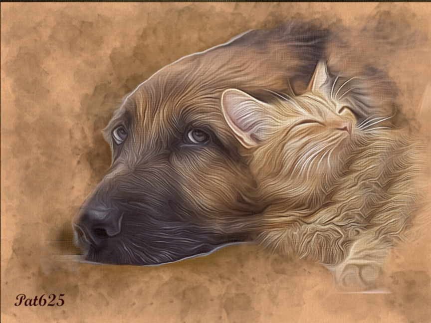 Peter.tut.Furry animals.2.10.Animal Shelter Friends.jpg