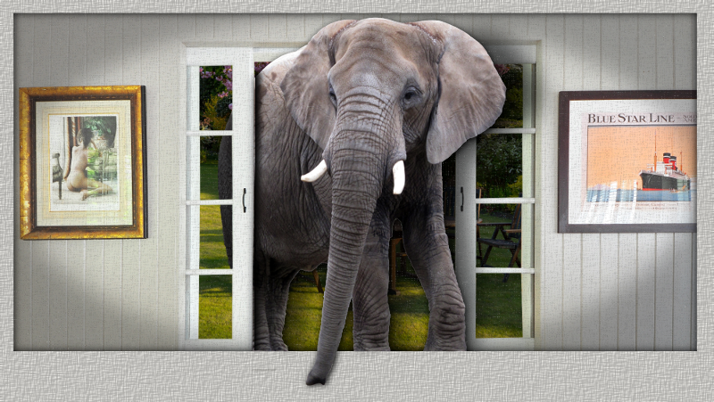 Elephant_visit.png