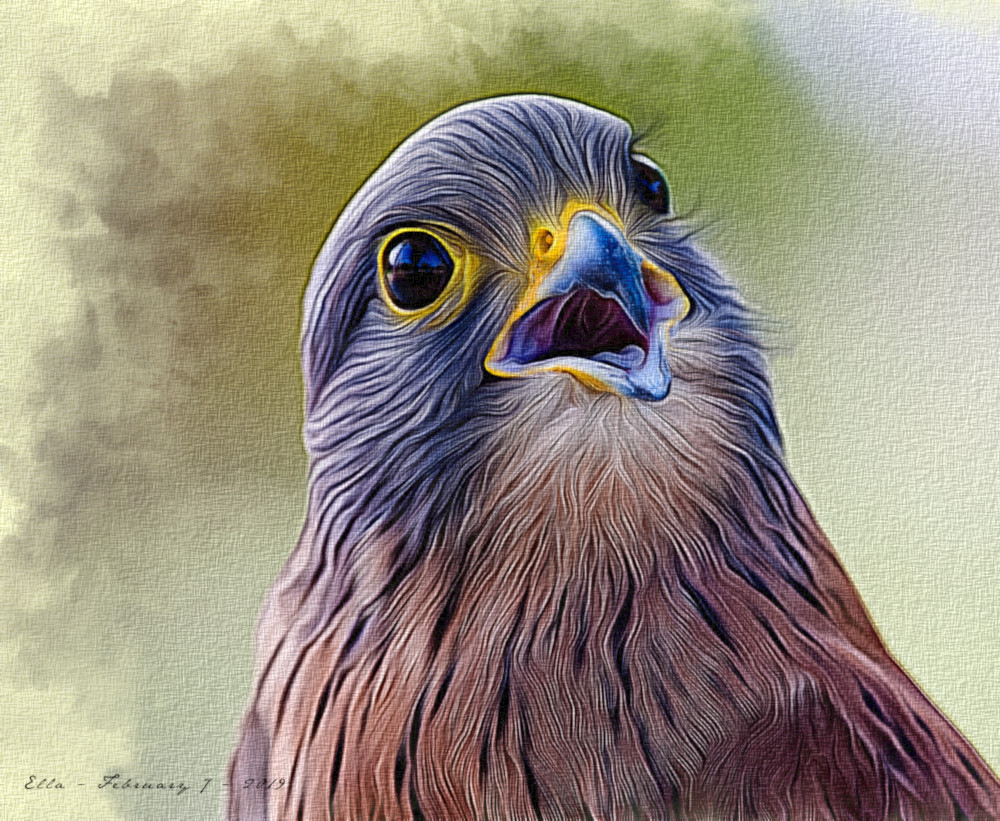 Bird.JPG