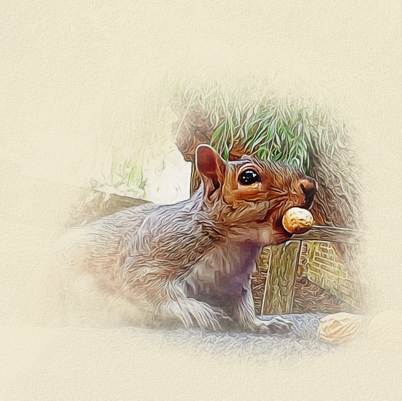 squirrel_bob_5_artistic.png