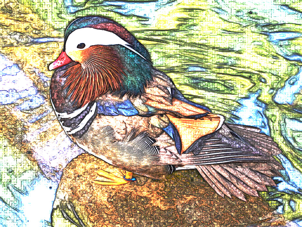 duck-5_Drawing-Effect_Gradient.jpg