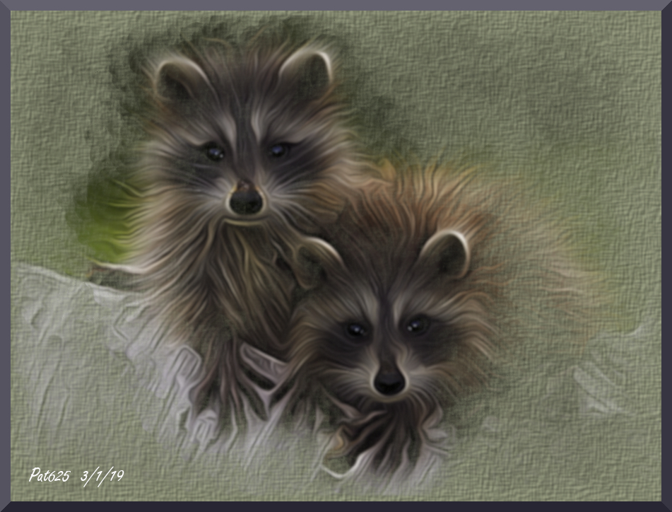 Peter.Hairy animal Tut.Raccoons.jpg