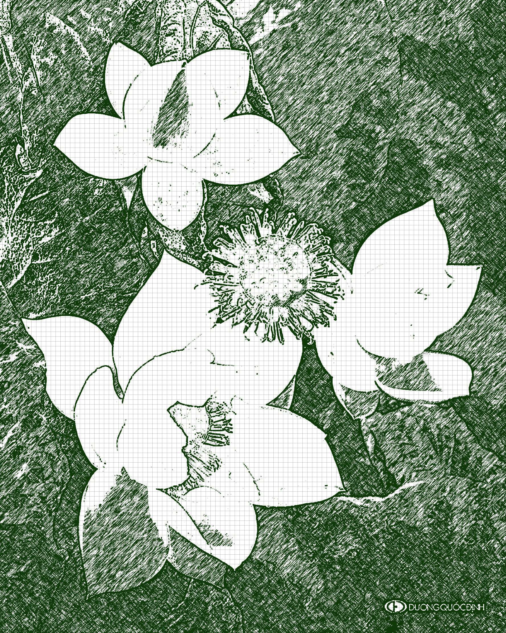53628fdf50b314d51cb01f1455fb45ea, applying INKPEN drawing effect (changing-ink-colour).jpg