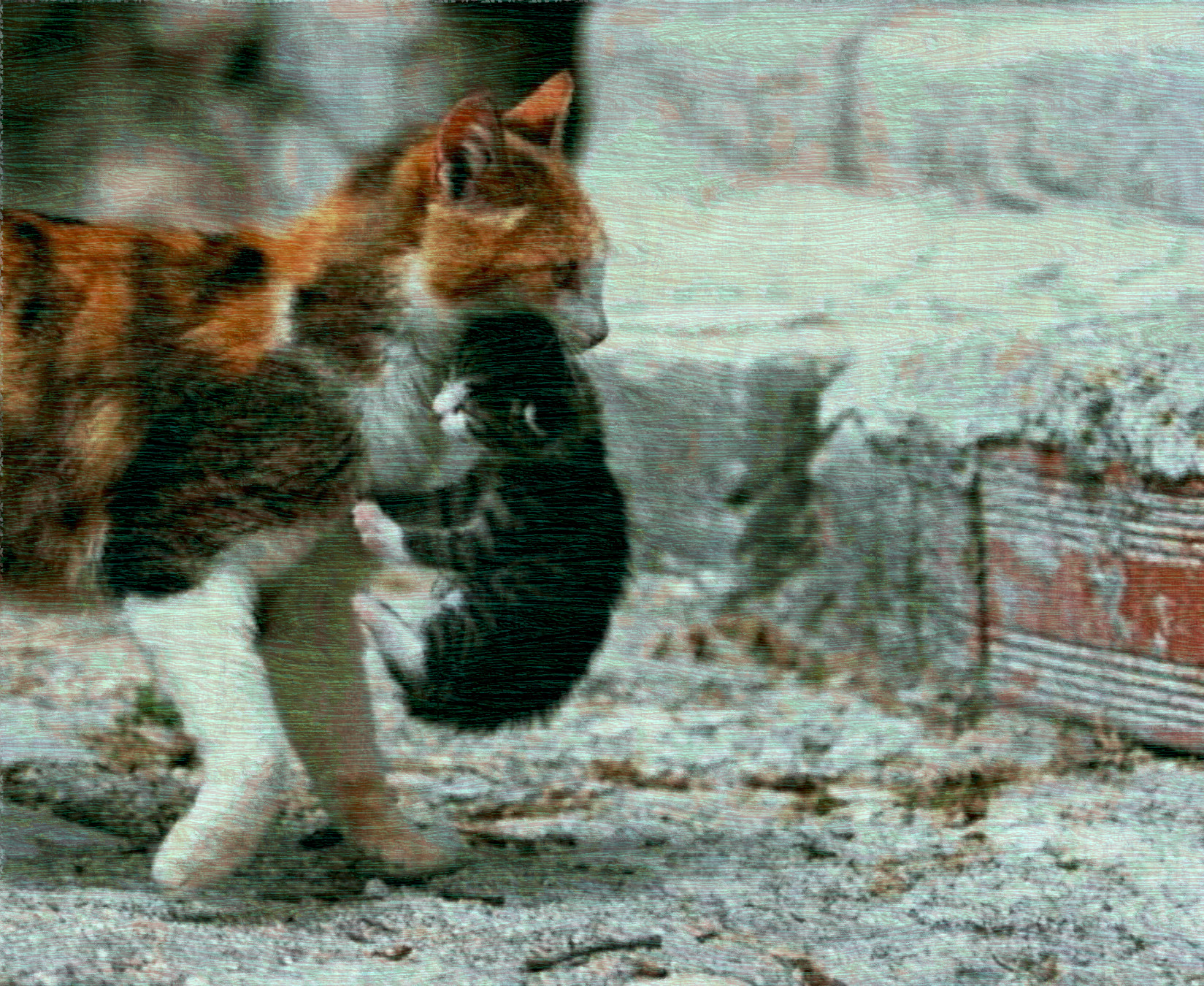 2019-03-15 06-04-42 gattinoemammagatta, using FPS15, on 30 areas, nuance=Cya.jpg
