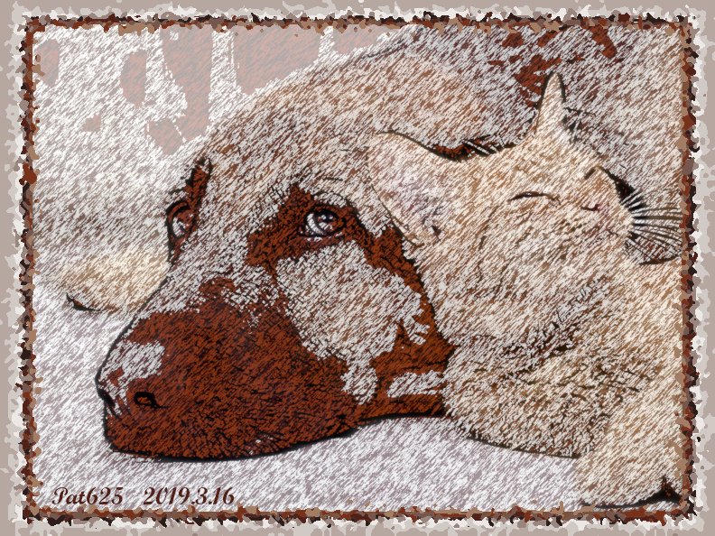 DN.Issa Tut.Ink pen draw 2 colors.Cat and Dog.jpg