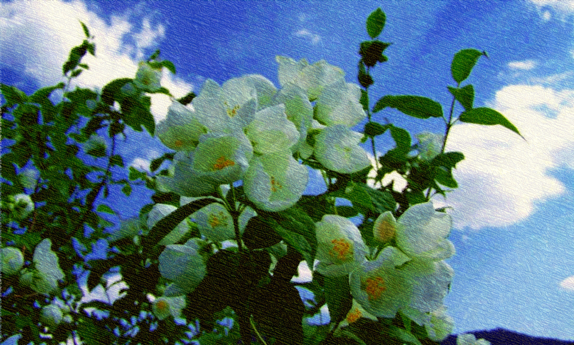 2019-03-17 08-56-59 jasmine-2374392_1280-1170x878, using FPS19, on 30 areas, nuance=Yel.jpg