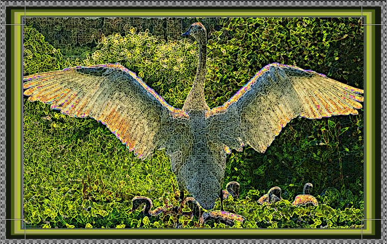 Image frame done with 32 bit Sample Color Border 1.9 without Felimage.JPG