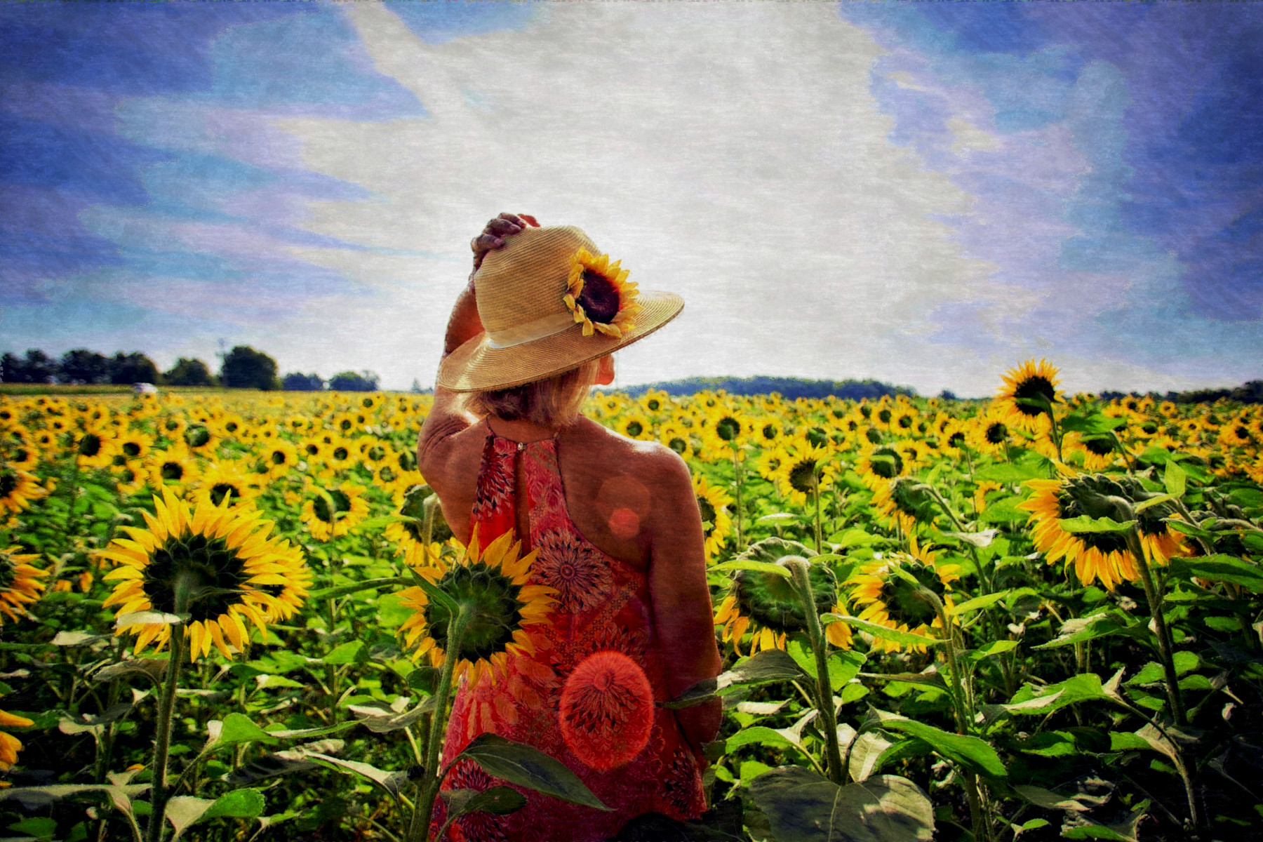 2019-03-21 10-43-22 sunflowers-3640935_1920, using FPS26, on 30 areas, nuance=Gra.jpg