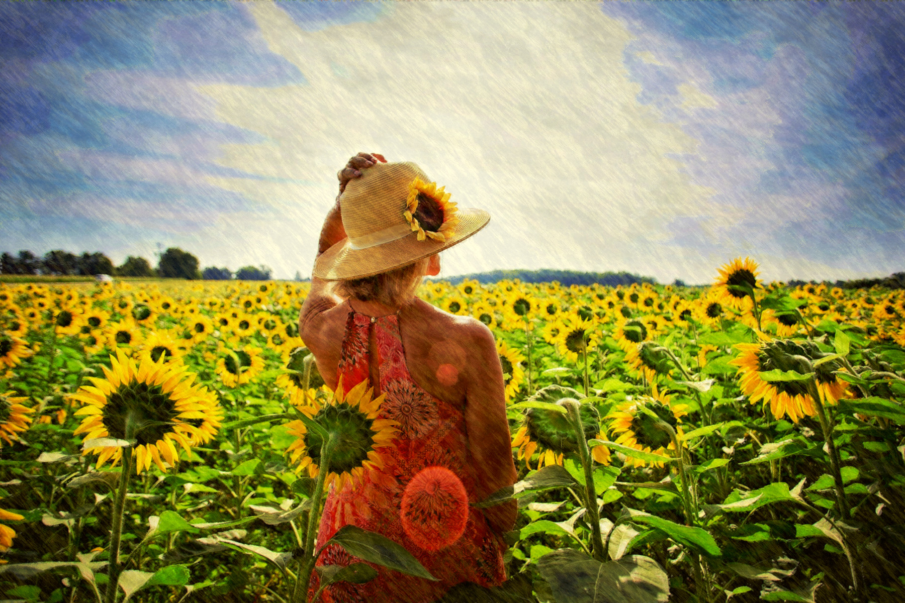 2019-03-21 10-44-25 sunflowers-3640935_1920, using FPS26, on 30 areas, nuance=Yel.jpg