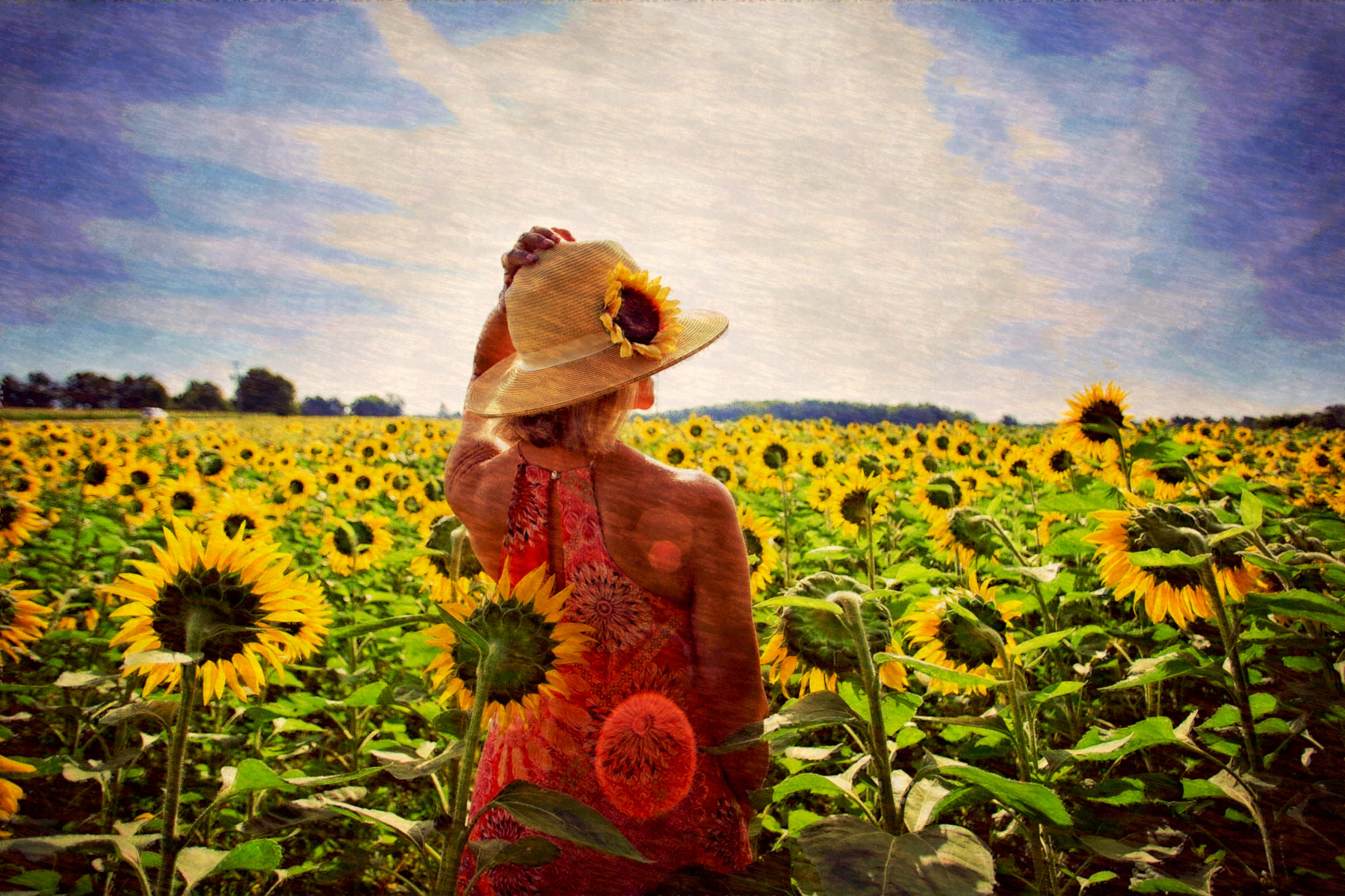 2019-03-21 10-45-26 sunflowers-3640935_1920, using FPS26, on 30 areas, nuance=Ora.jpg