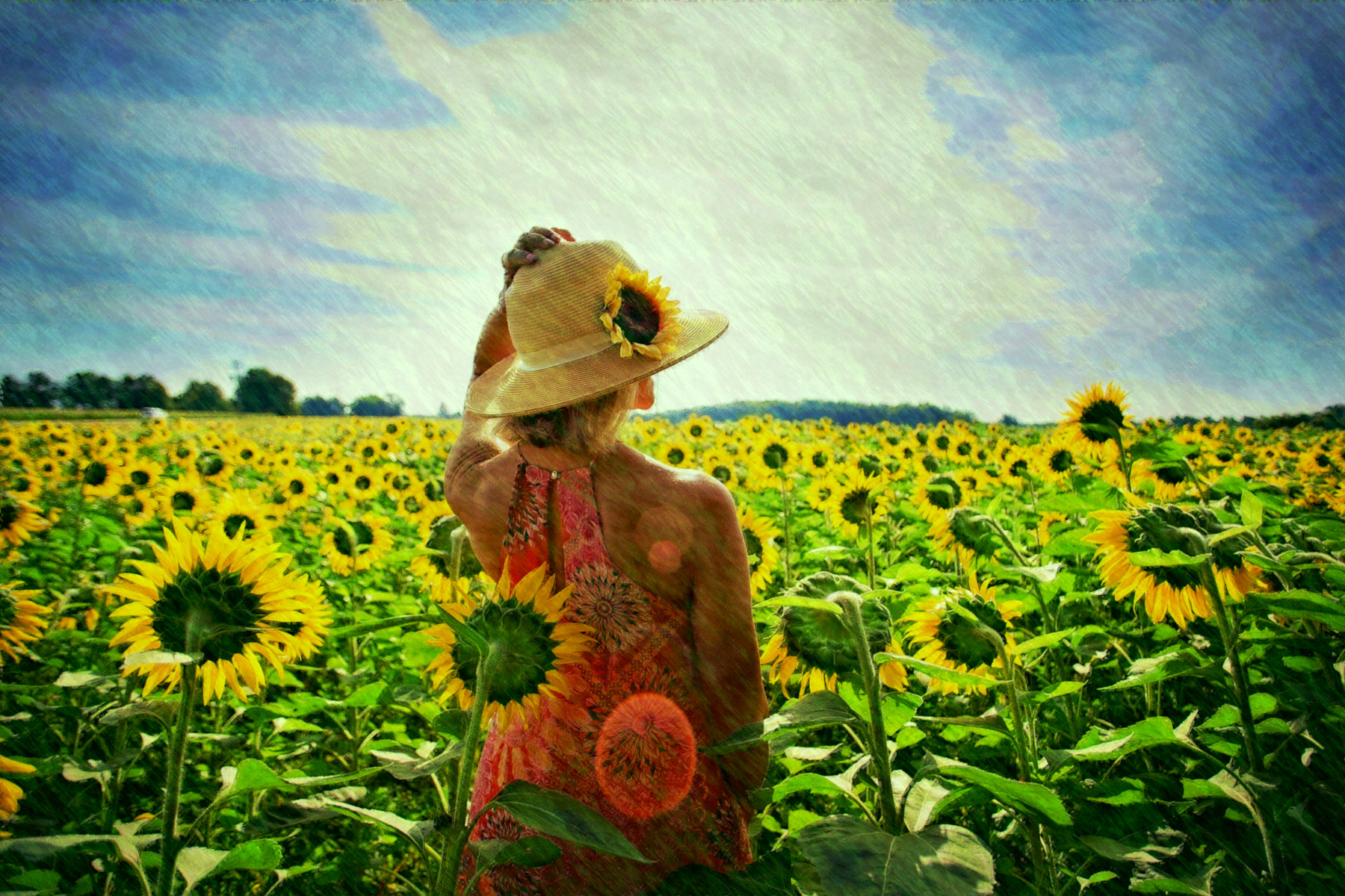 2019-03-21 10-47-22 sunflowers-3640935_1920, using FPS26, on 30 areas, nuance=Gre.jpg