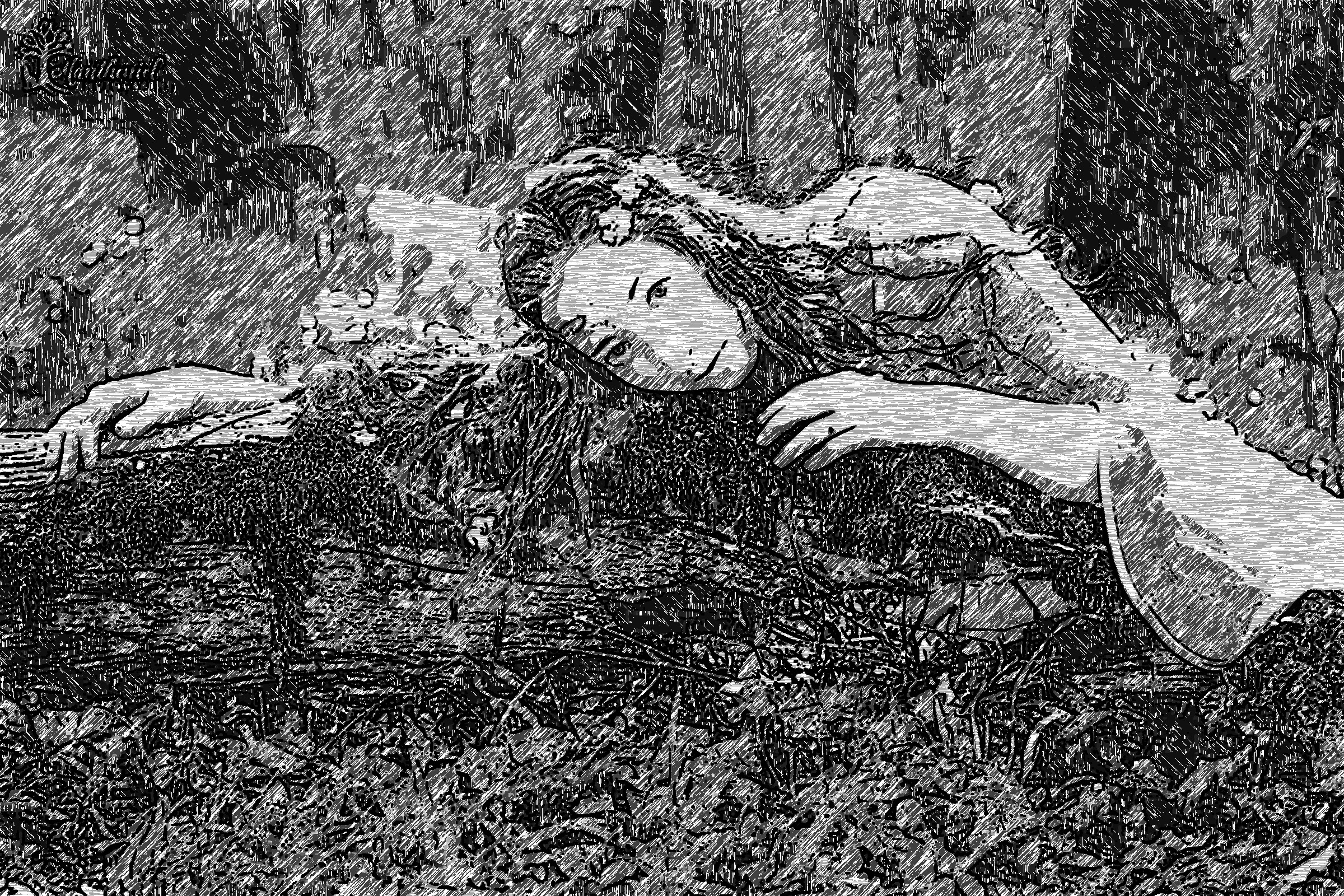 2019-03-28 15-10-34 spring_elven_queen_by_lucreciamortishia_dc5dm8i-fullview as an ink-pen drawing (4 areas) with lighter strokes on the light area.jpg