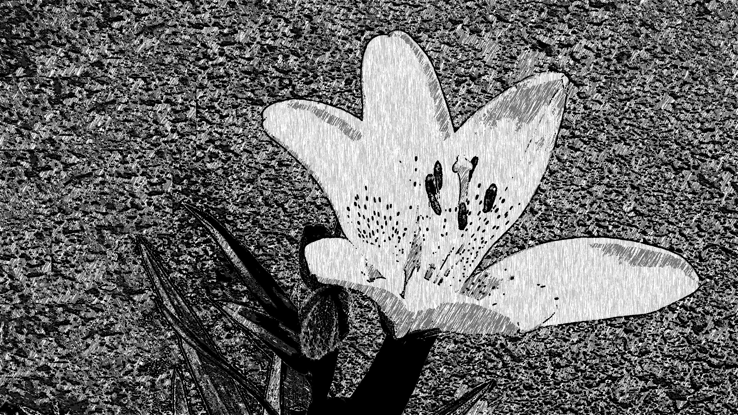 2019-04-03 06-10-44 Dolomiti_2012_Samsung_2012-07-03_SAM_0246-crop as an ink-pen drawing (4 areas).jpg