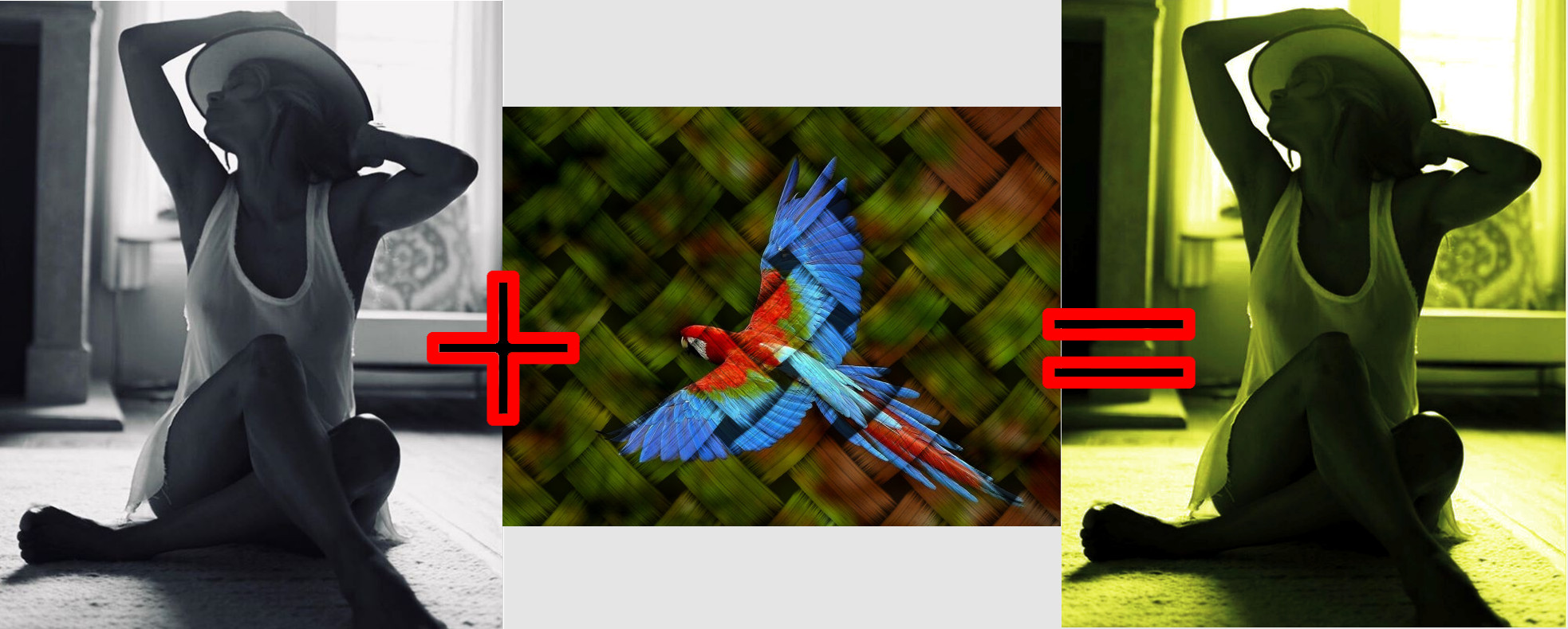color_trans.jpg