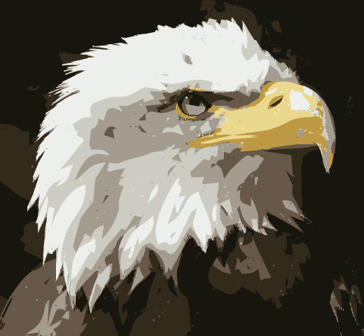 sample_eagle.gif