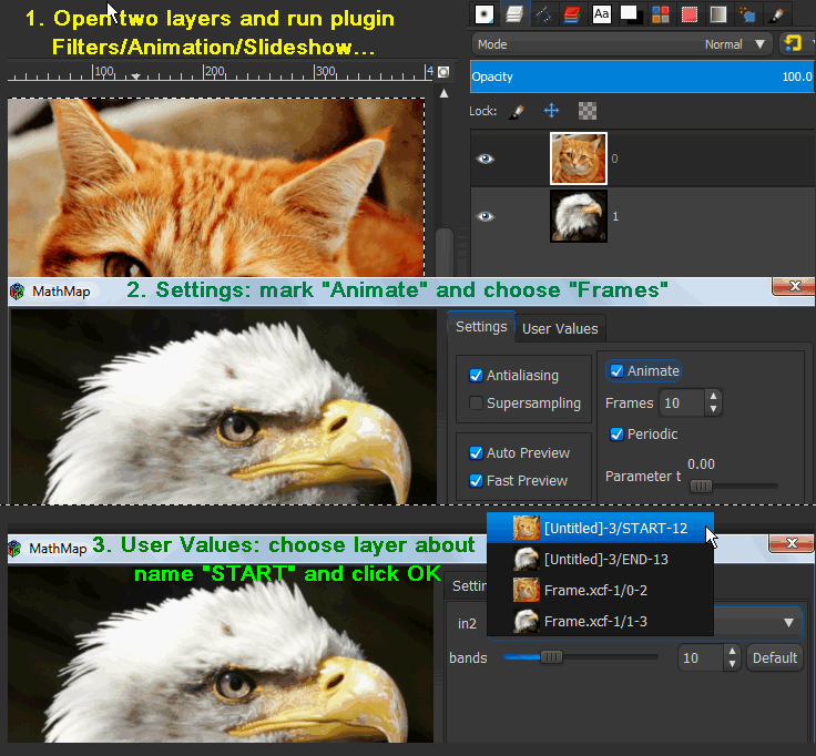 Use interactive plugin MathMap.png