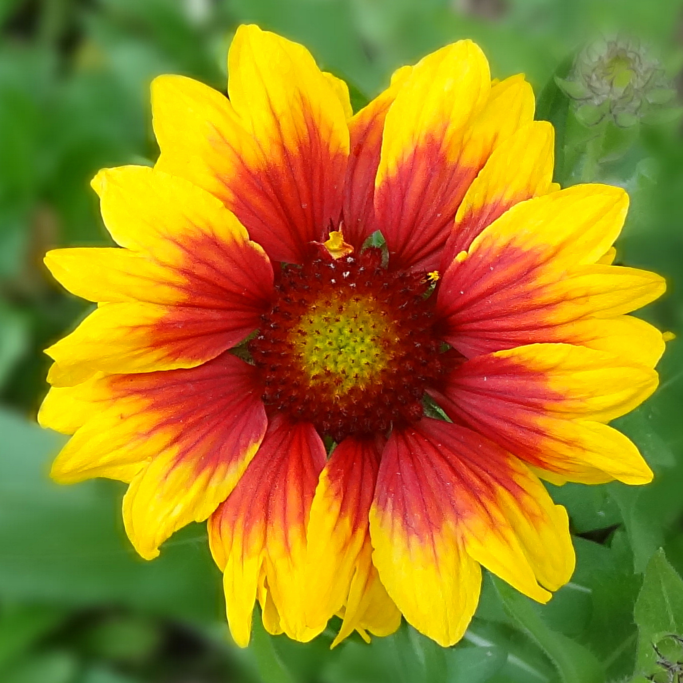 DSC01753_Crop03.JPG