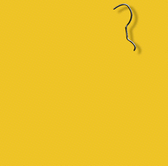 goofy2.gif