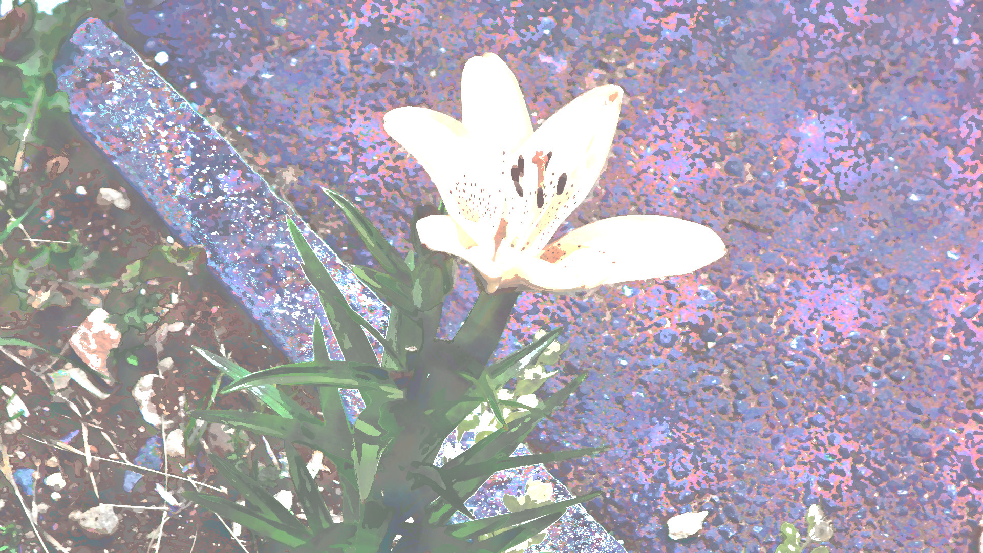 2019-06-15 07-42-48 Dolomiti_2012_Samsung_2012-07-03_SAM_0246, using FPSRR07, on 32 areas, over-strokes=2.jpg
