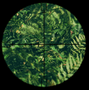 scope.gif