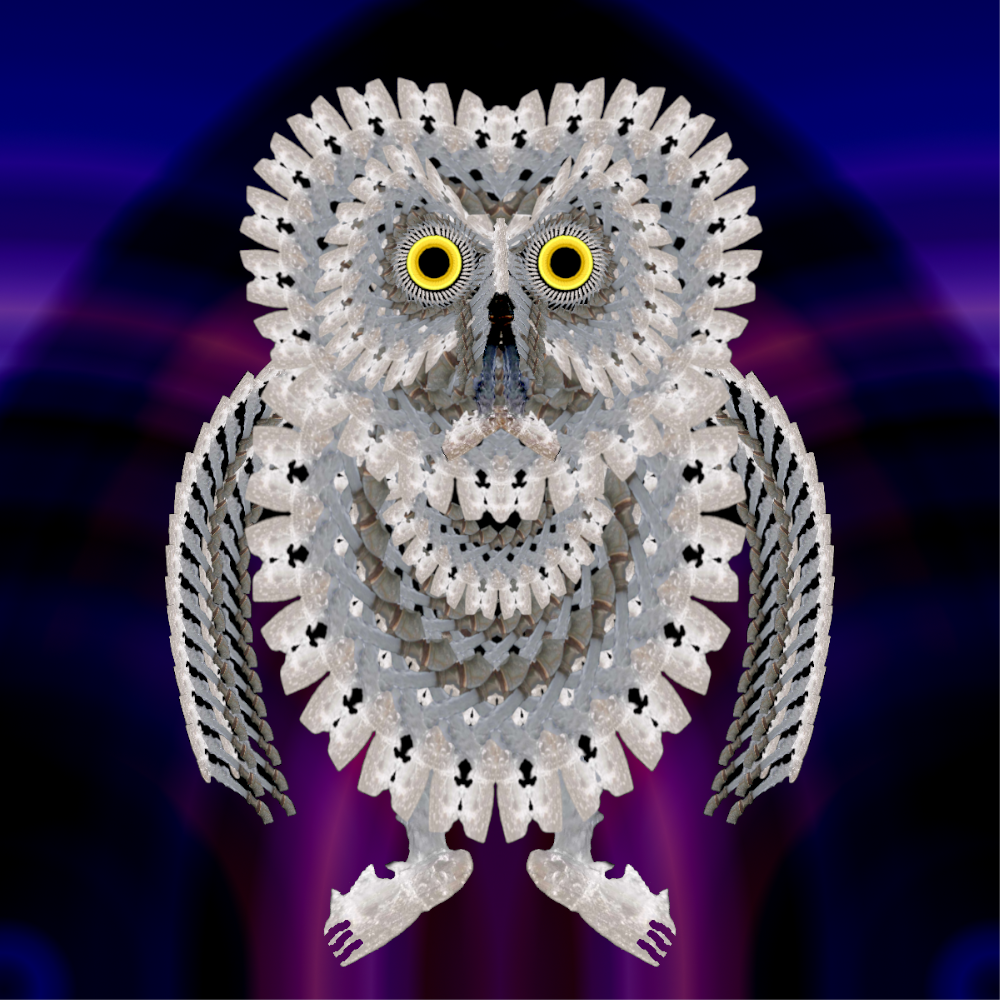omg_owl_brush.png