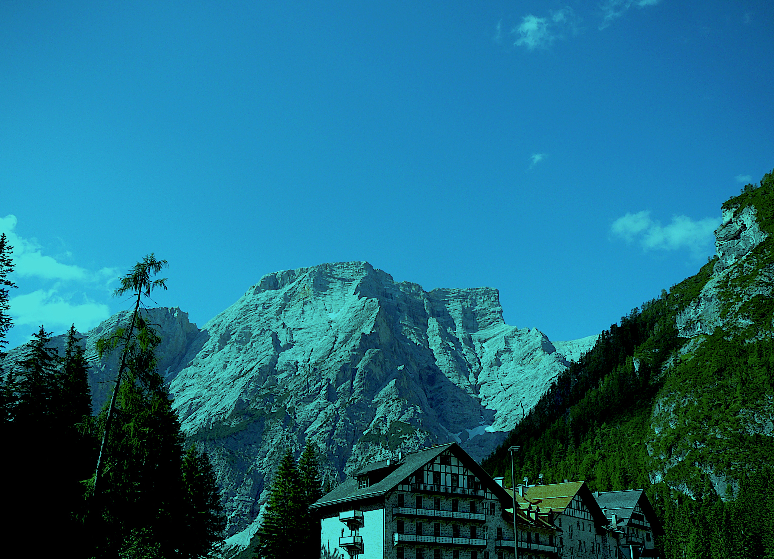 P1040930_Xcolours03.JPG