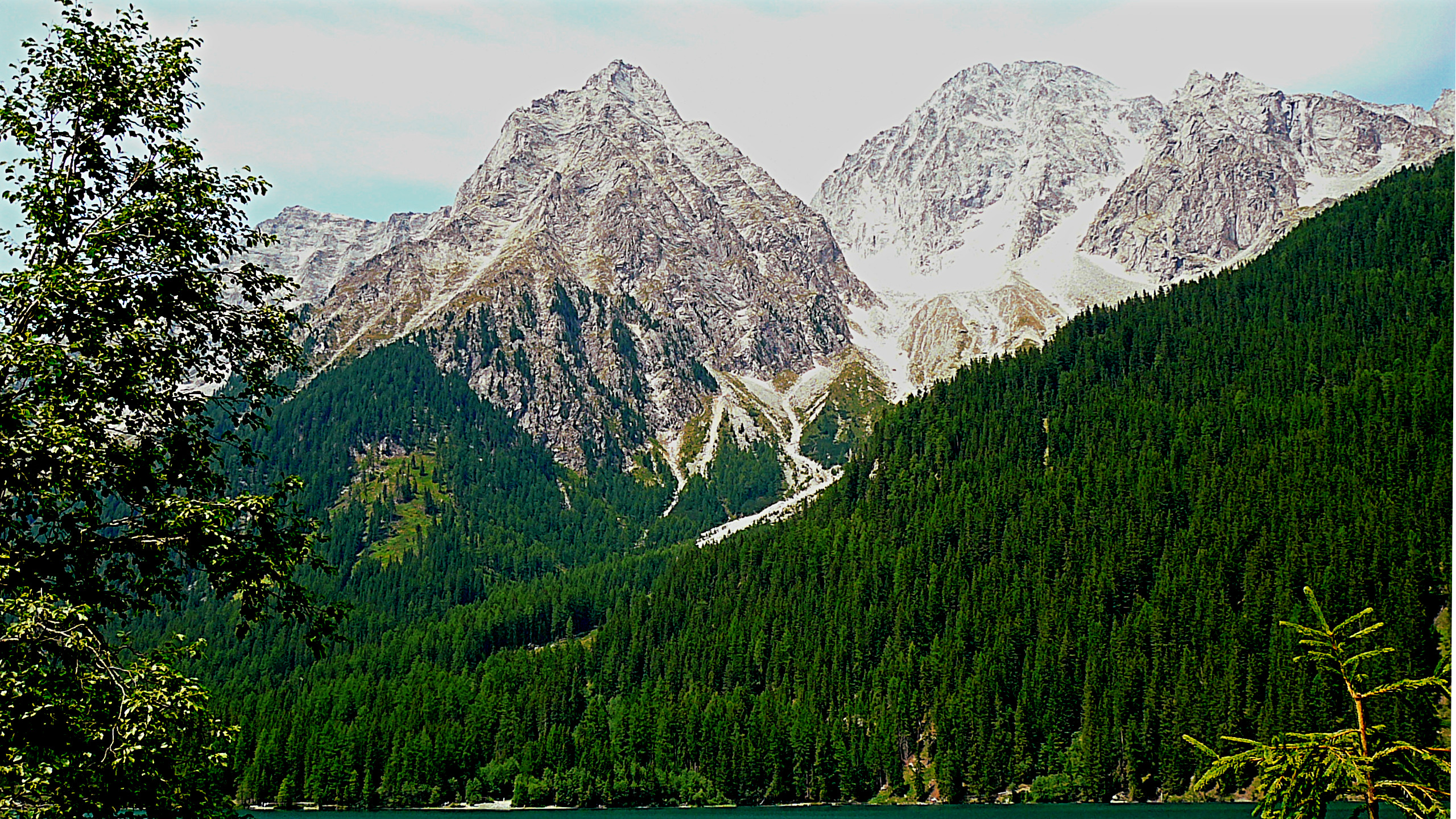 P1050059.JPG