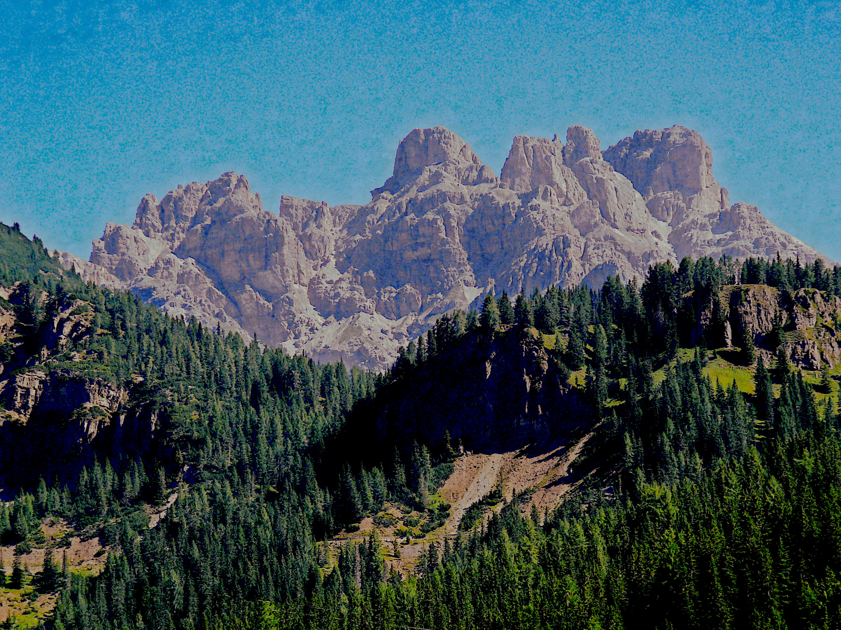 P1050080_FPSnew05.JPG