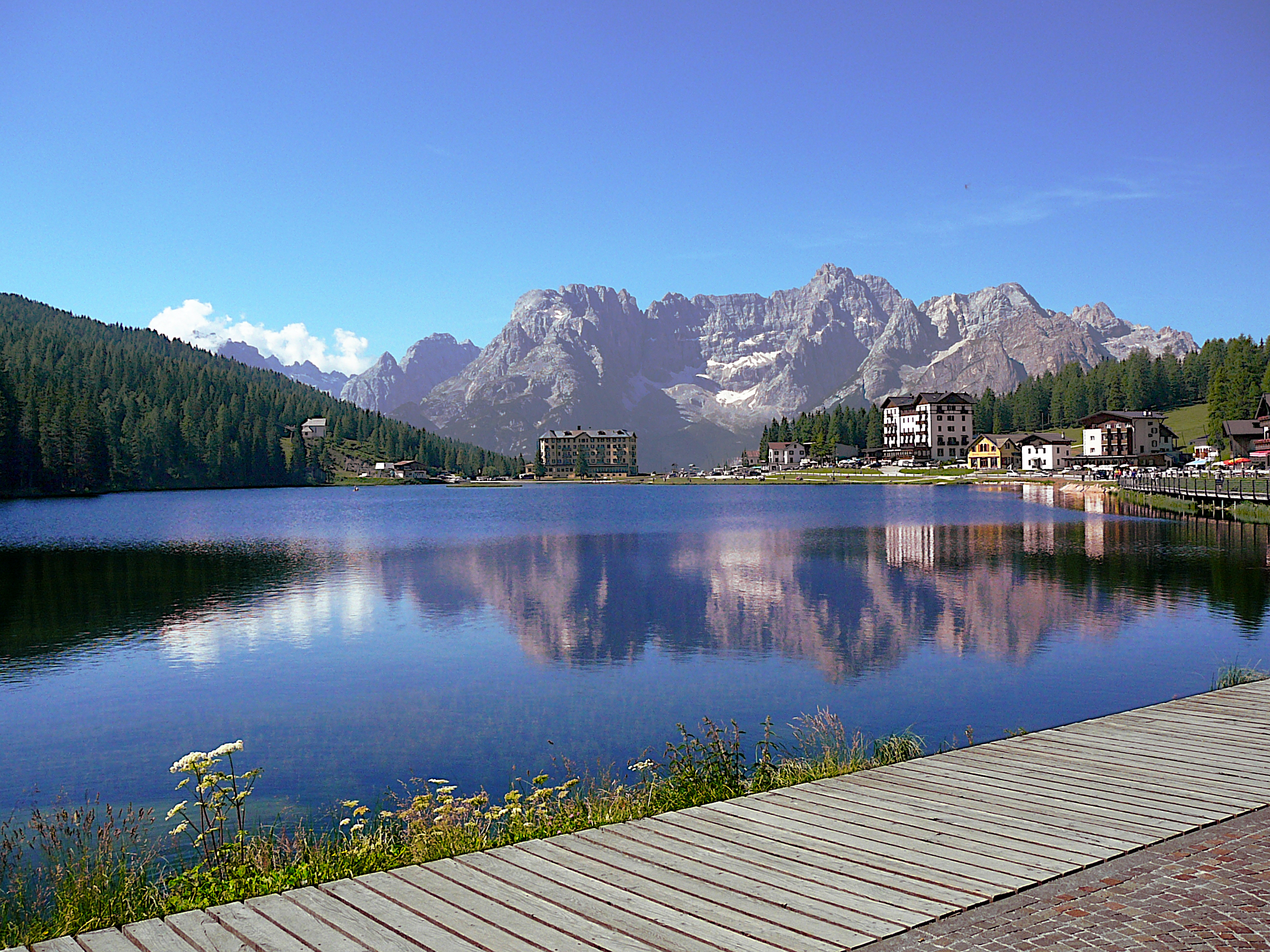 P1050077_1.JPG