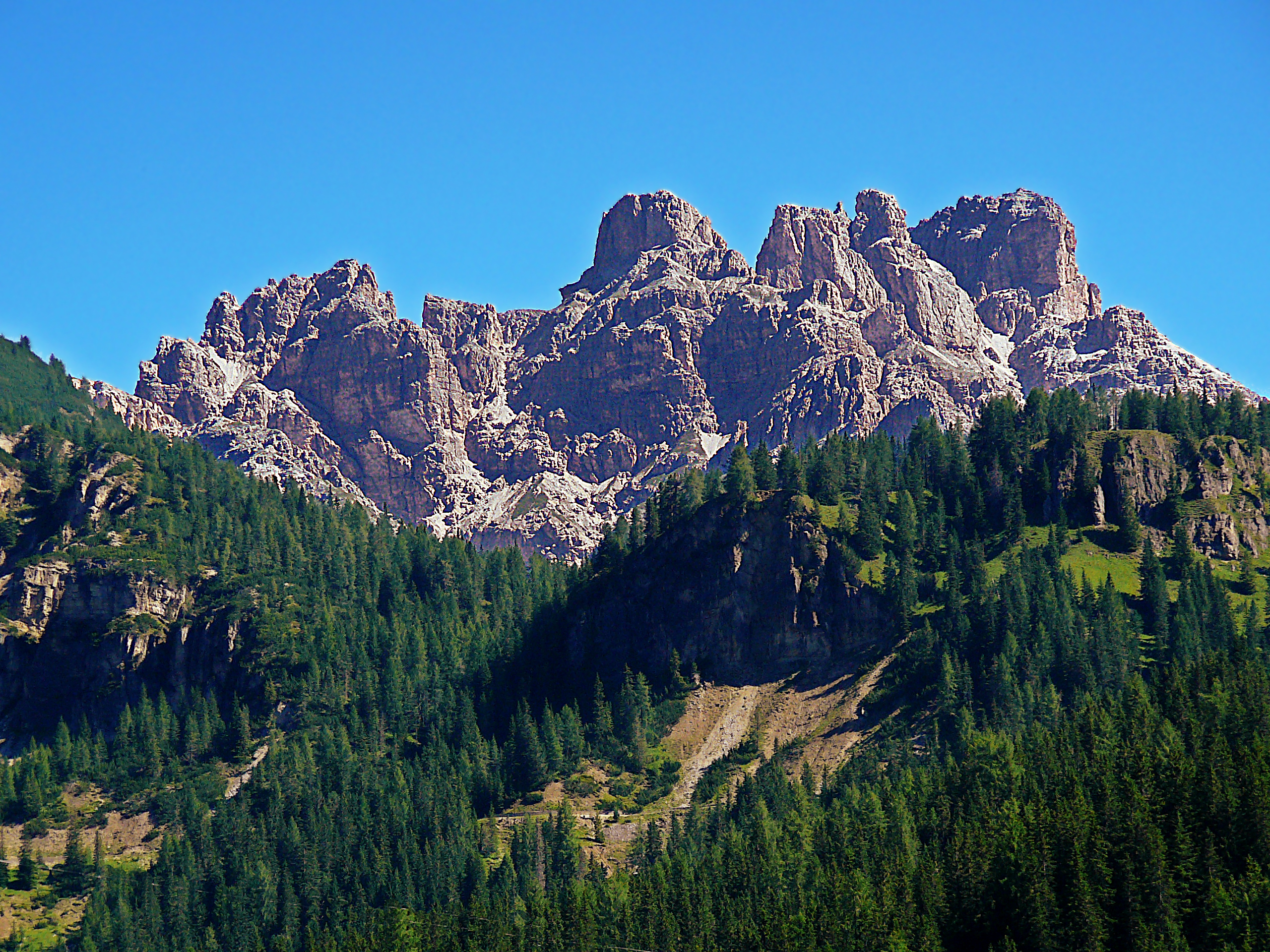 P1050080_1.JPG