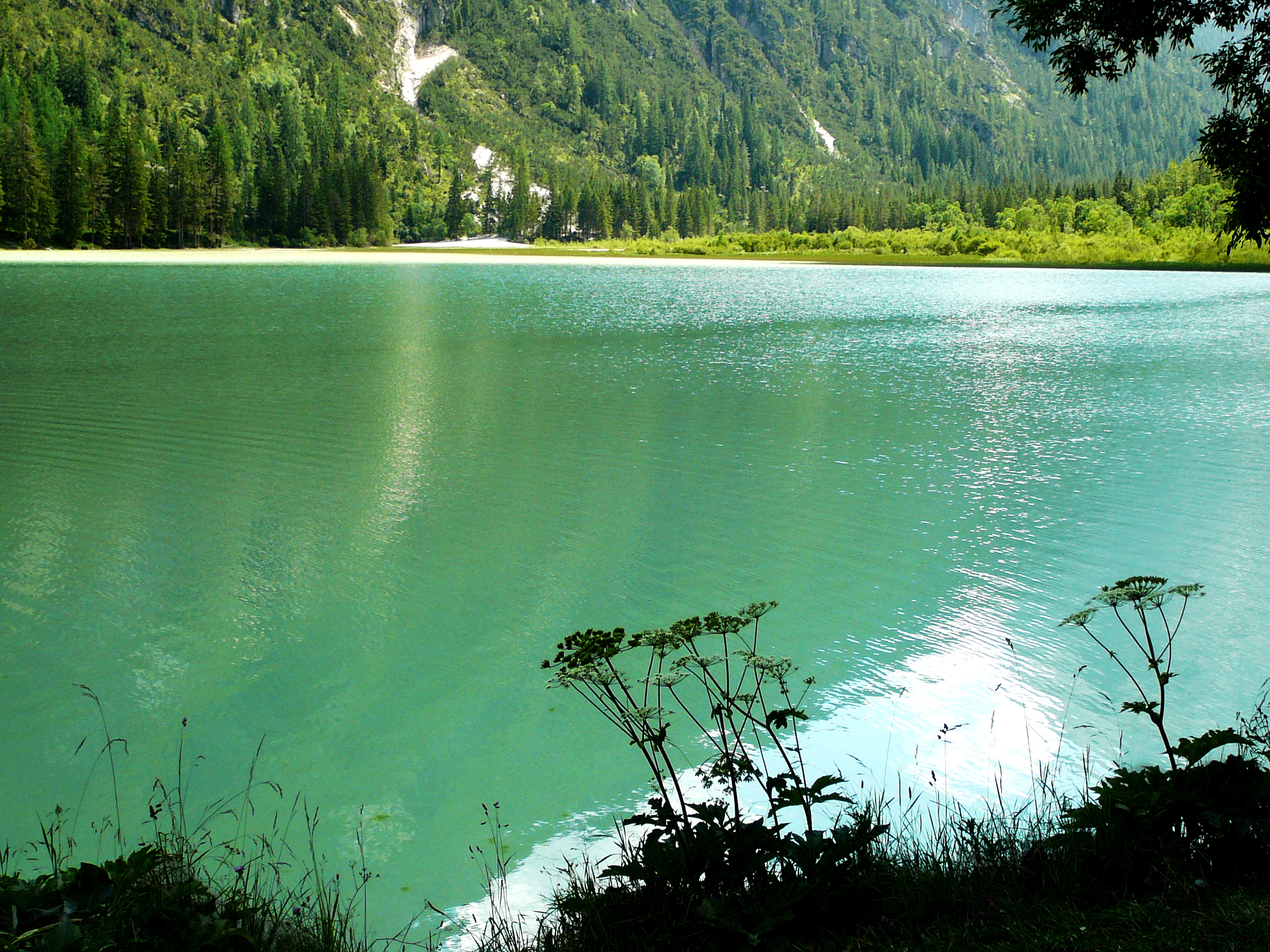 P1050132_1.JPG