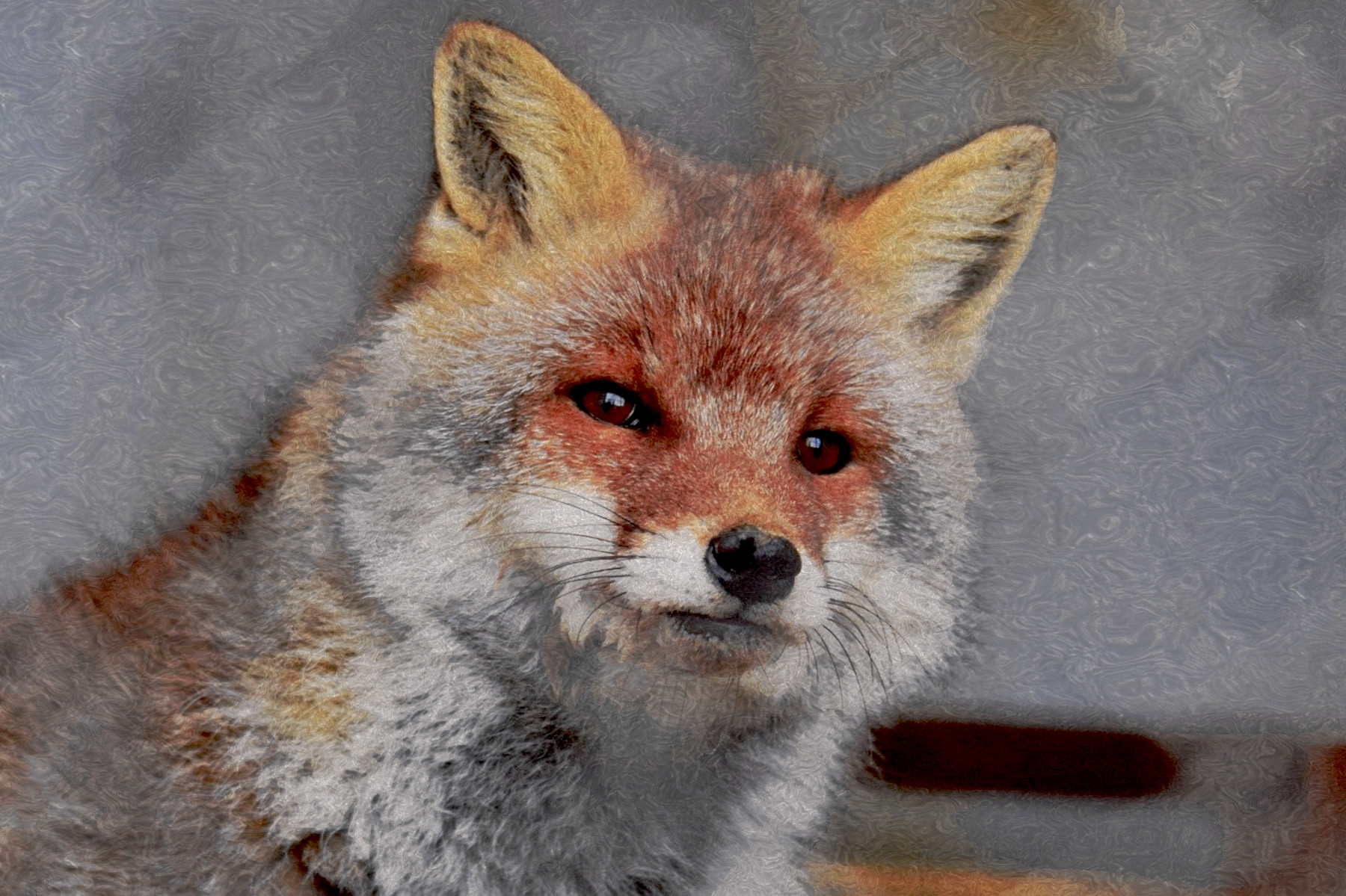 animal-4672170_DN_FPSnew_18_Issa.JPG