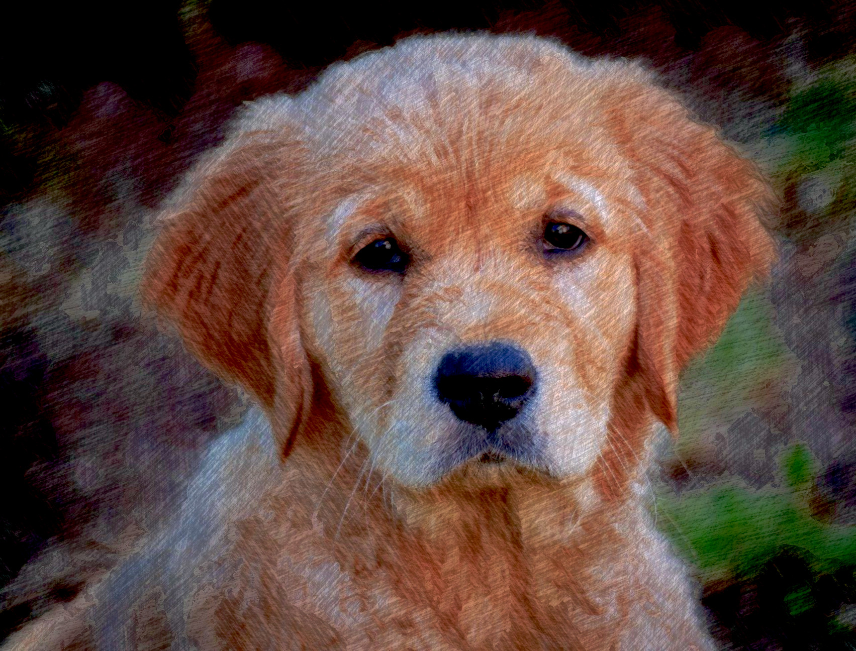 dog-4224638_DN_FPSnew98_Issa.JPG