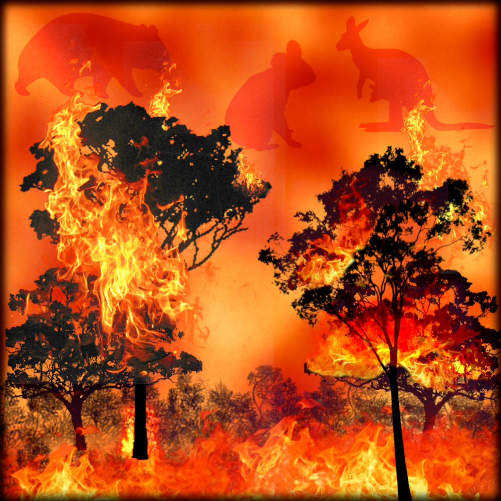 fire.png