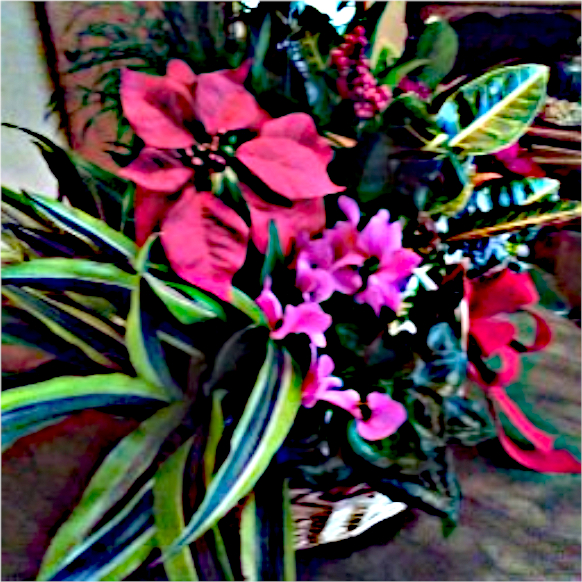 Flowers.Lorraine.jpg