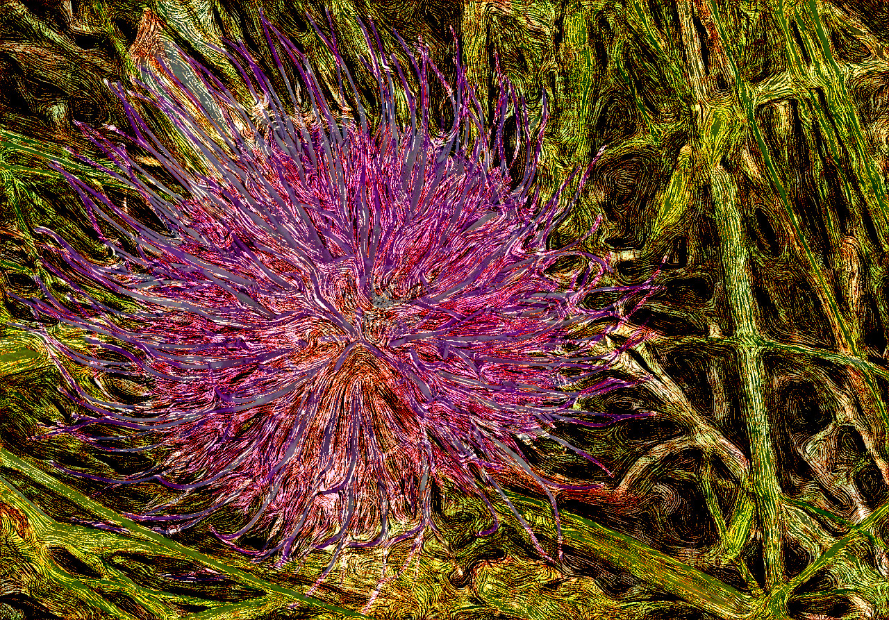 flower-4733664_CartoonEffect_C.jpg