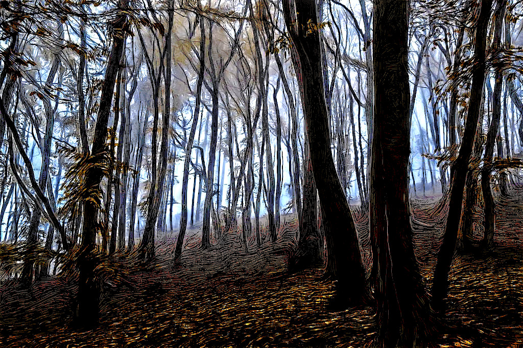 quelque_part__somewhere_by_davidmnr_ddm7jib_CartoonEffect.jpg