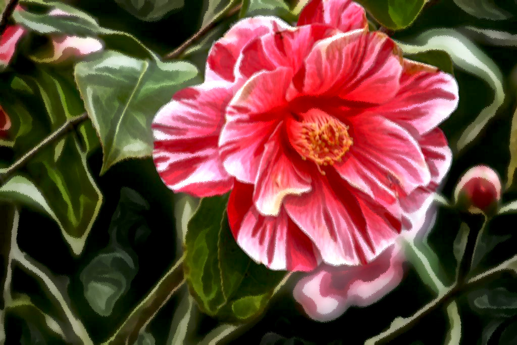 2020-01-31 08-07-25happy_birthday_a6_k_by_ingeline_art_ddo0htl-fullview with a simple enhance effect, using option chalk paint.jpg