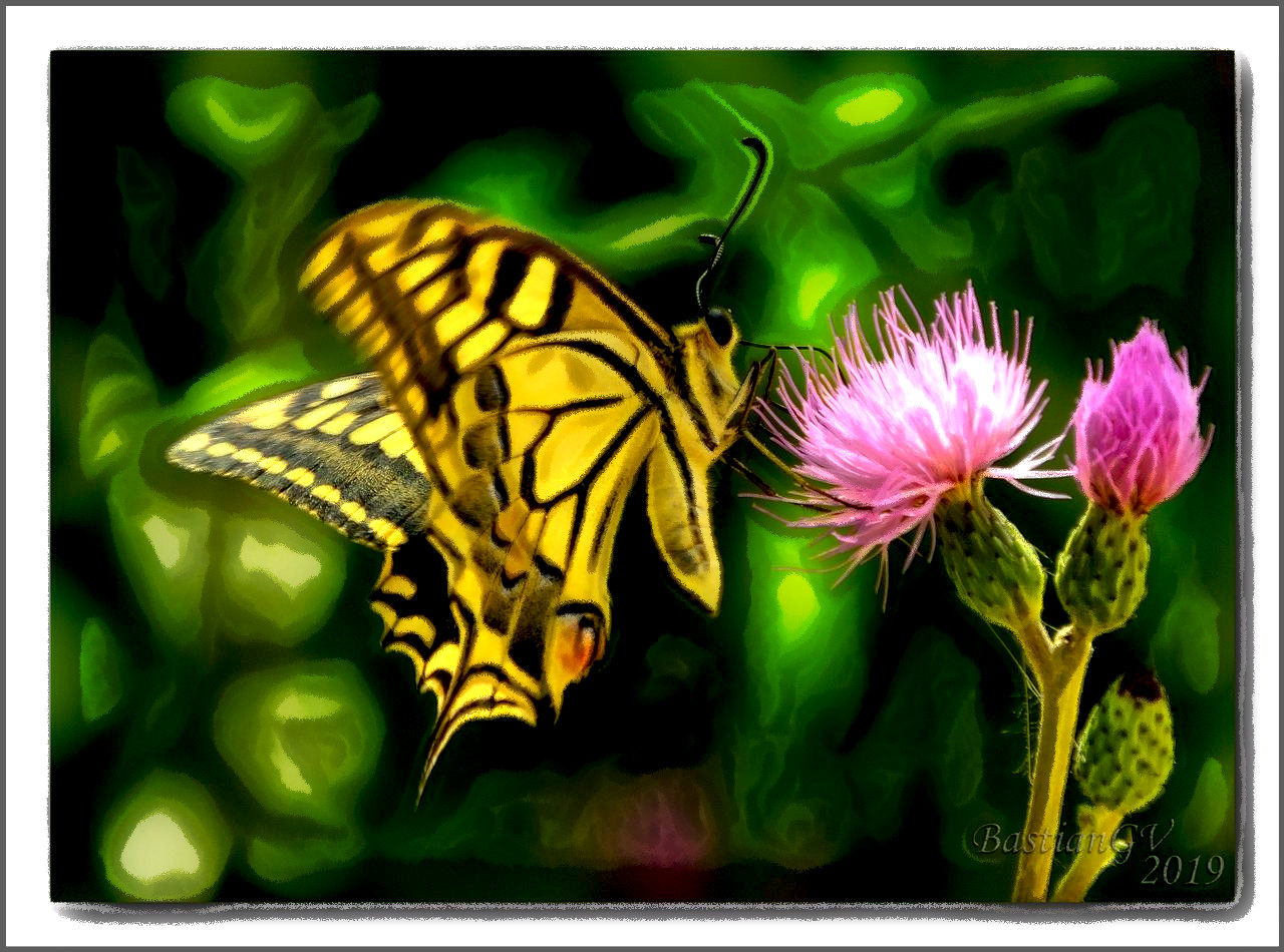 2020-01-31 08-09-34self_service_by_bastiangv_ddnslyc-fullview with a simple enhance effect, using option chalk paint.jpg
