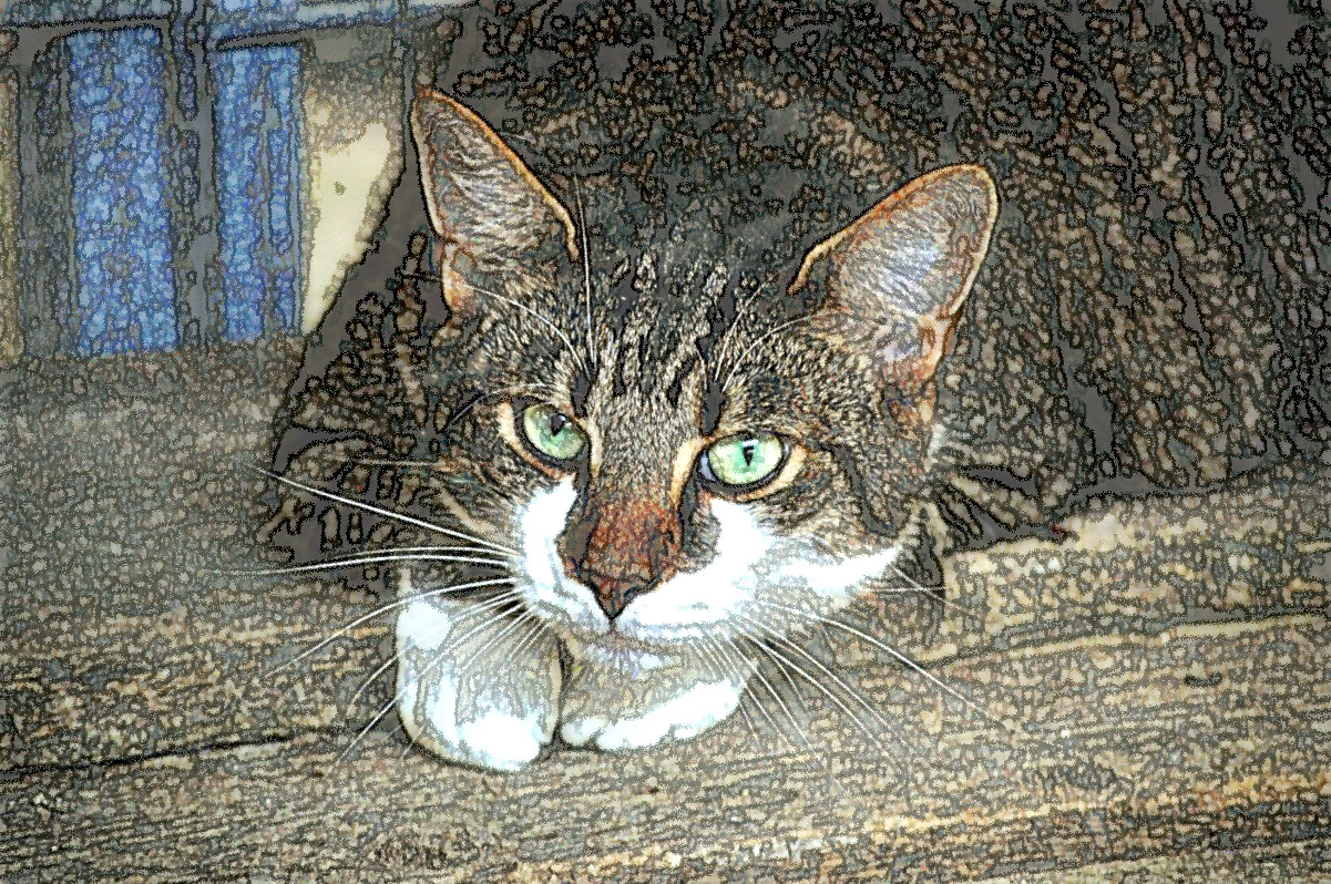 cats-eyes-2671903_DN_PlayWithG’micChalk_Draw_Issa.JPG