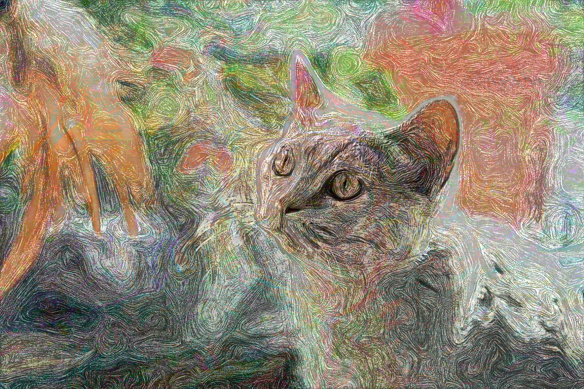 cat-4436152__DN_EngraveVanGogh_ds_Issa.jpg