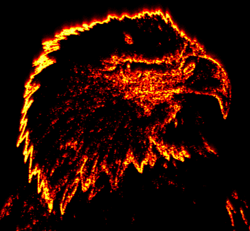 firebird.gif