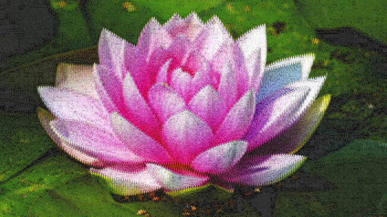 water-lily-35043663_DN_FakeKnitting_Issa.JPG