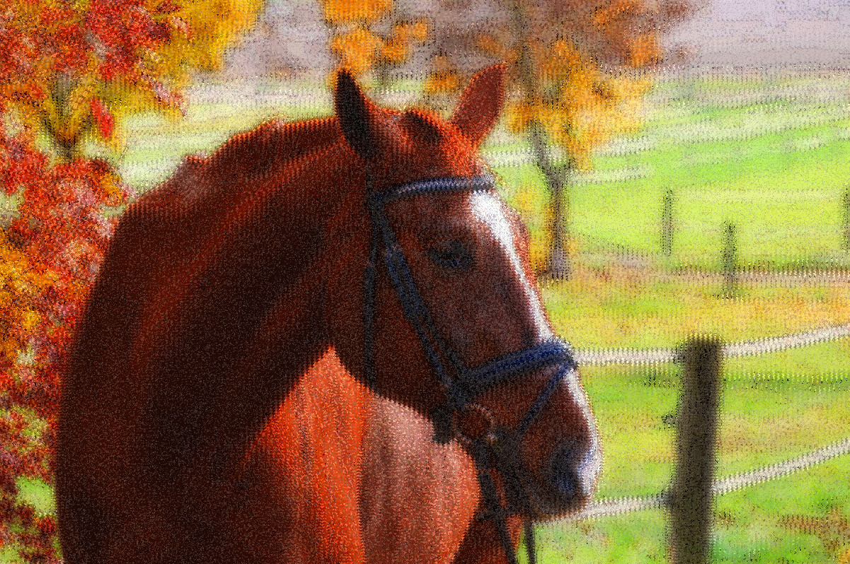 horse-4847088_DN_FakeKnitting_Issa.JPG
