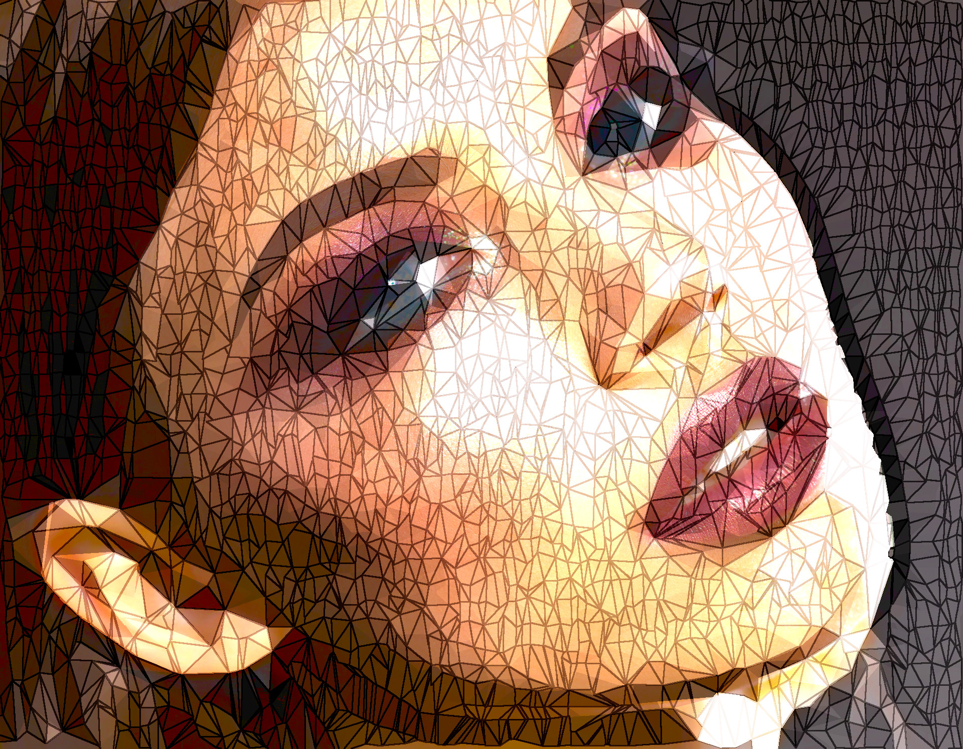 2020-02-18 15-48-43woman-3096664_1920 with a guided polygonize effect, option strong polygons (pp2).jpg